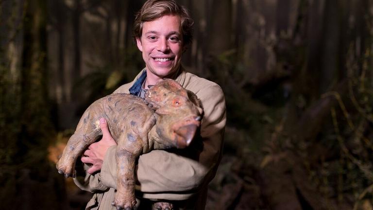 Der Dino-Check