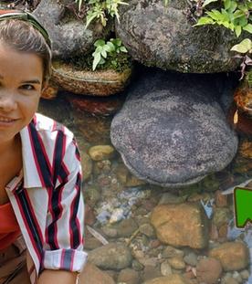 Der glitschige Riesensalamander