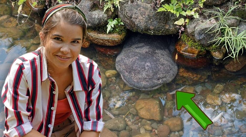 Der glitschige Riesensalamander