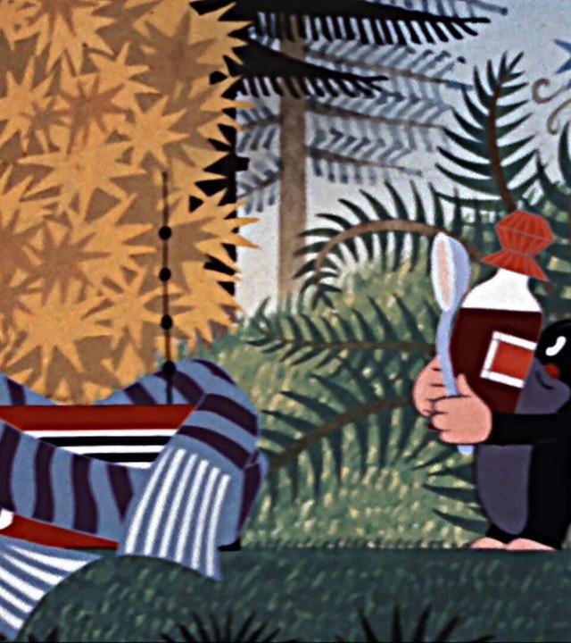 Der kleine Maulwurf und Transistor