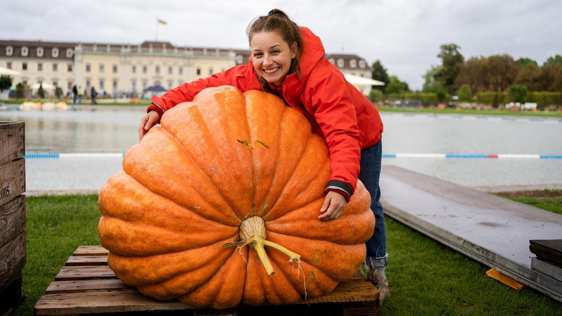 Der Obst-und-Gemüse-Check