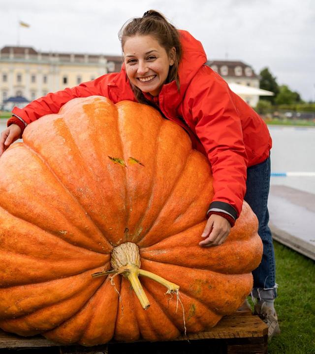 Der Obst-und-Gemüse-Check