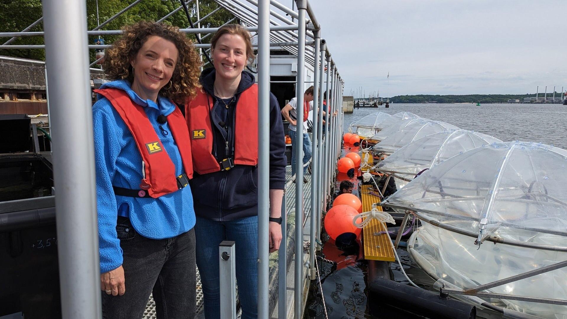 Der Ozean als Klimaretter?