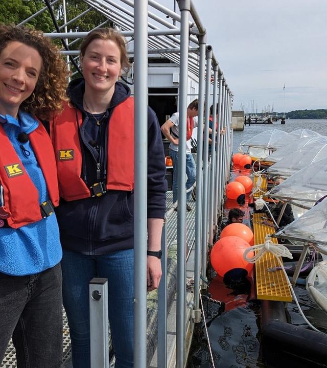 Der Ozean als Klimaretter?