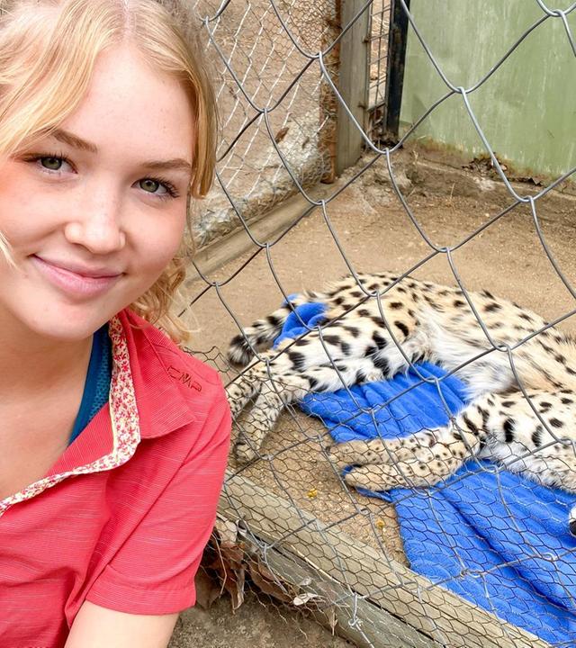 Die geheimnisvolle Raubkatze namens Serval