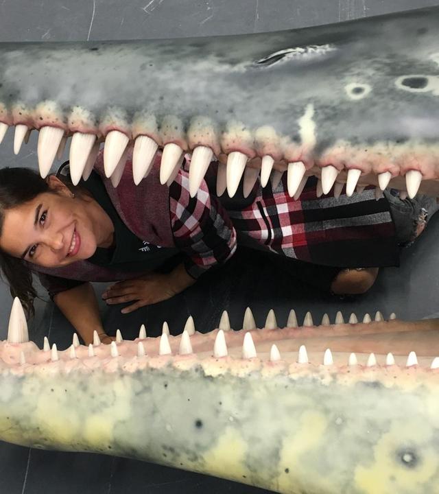 Die gigantischen Meeressaurier