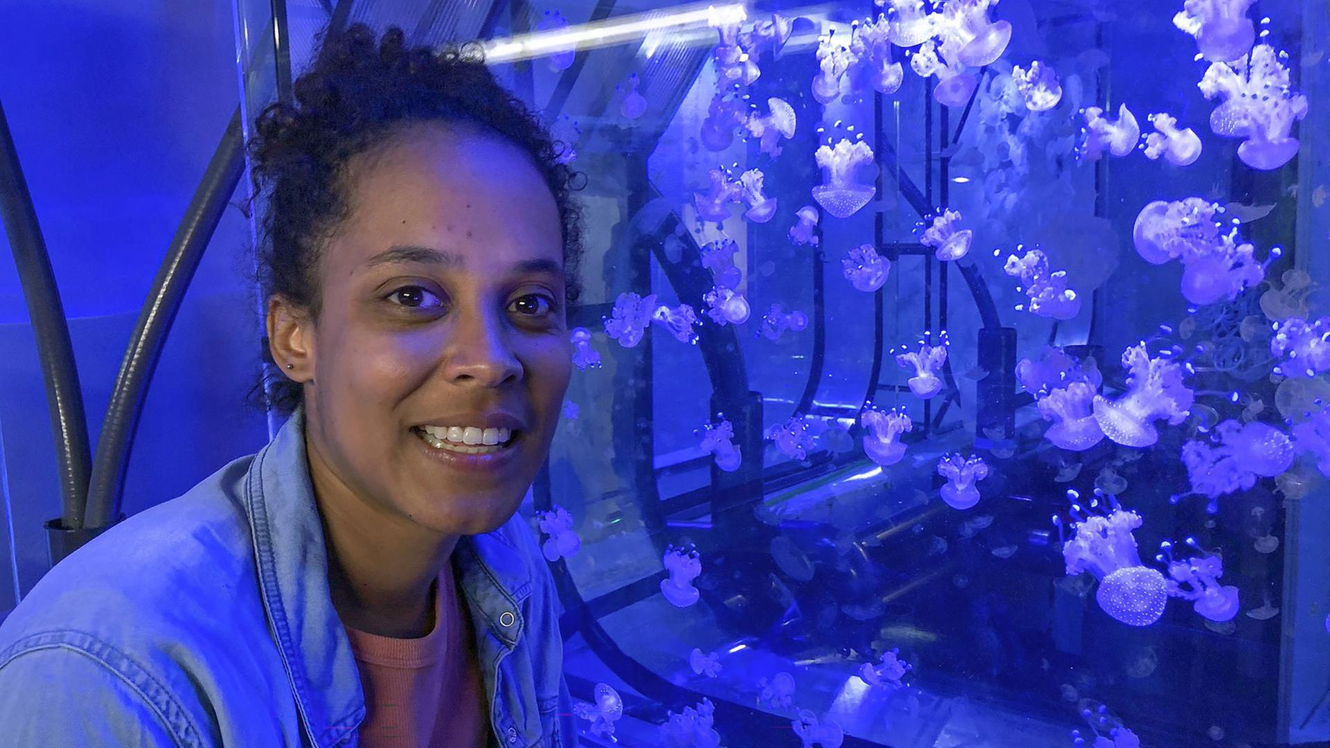 Die glibberige Welt der Quallen