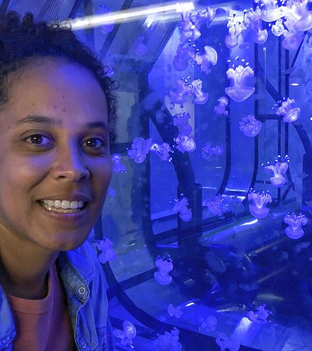 Die glibberige Welt der Quallen