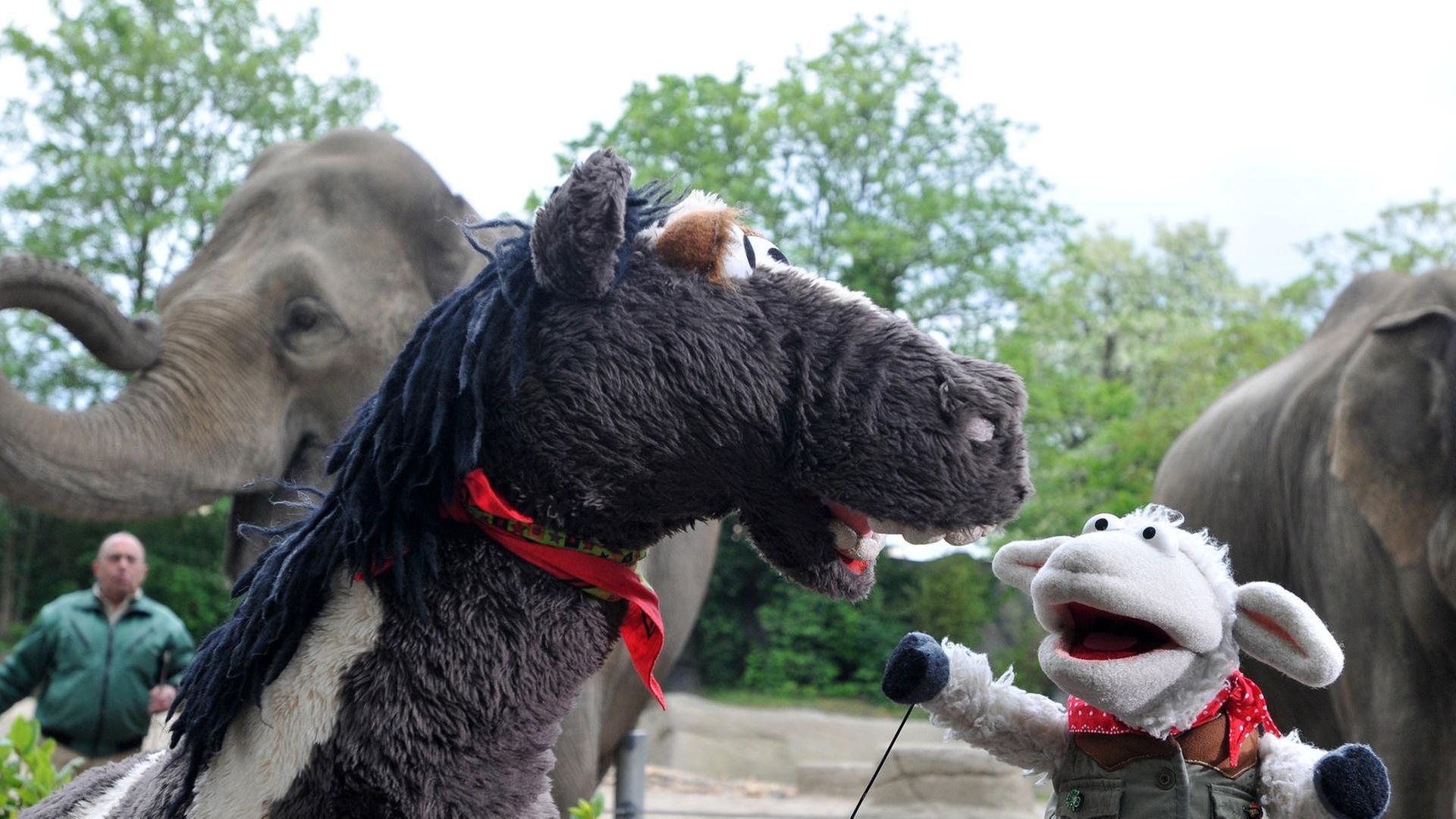 Ein Haustier auf Probe