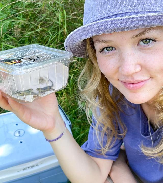 Ein Paradies für Zauneidechsen