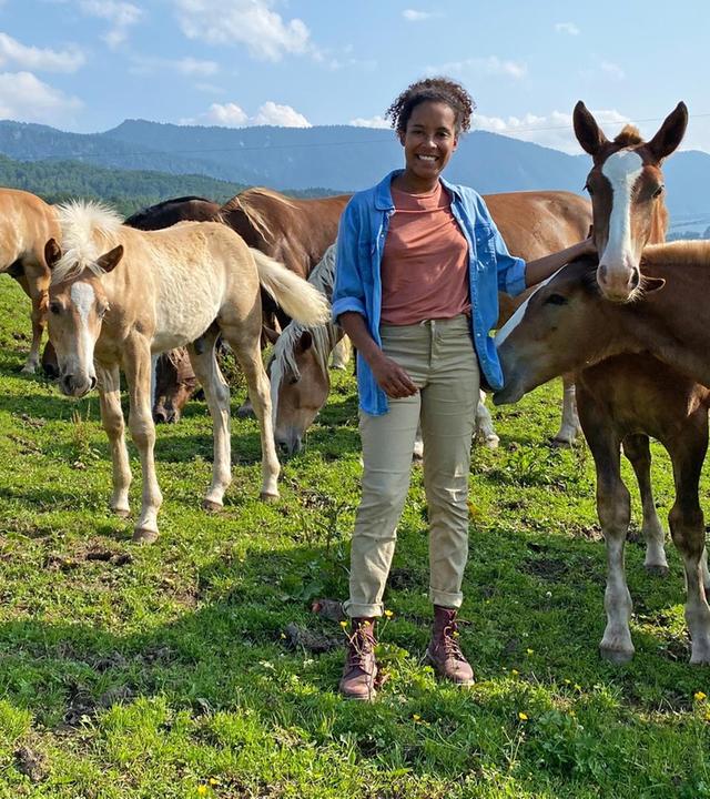 Ein Tag auf dem Pferdegestüt