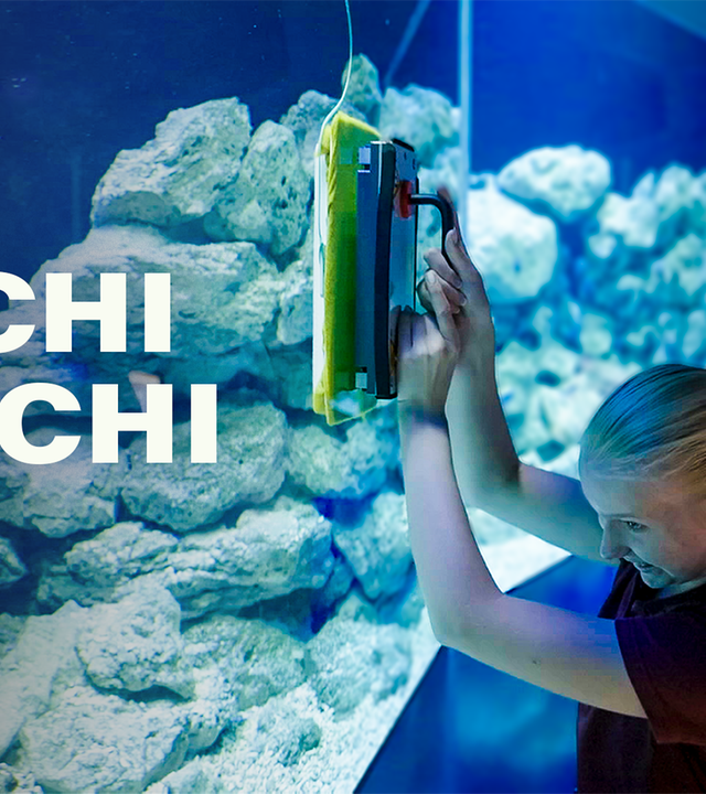 Er springt auf mich zu!