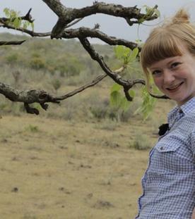 Familie Klippschliefer