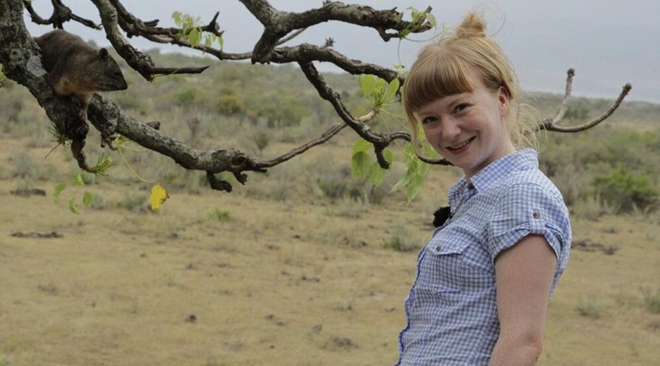 Familie Klippschliefer