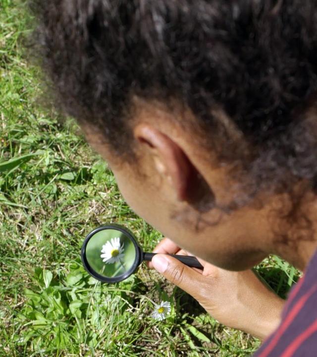 G wie Gänseblümchen