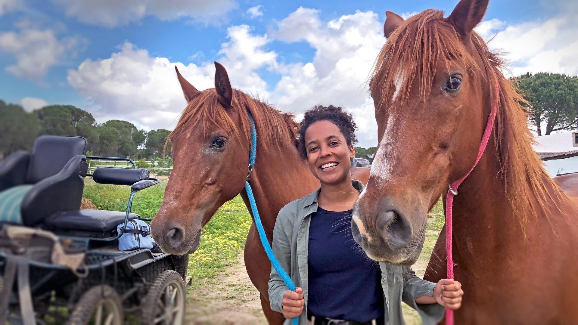 Im Sumpf der Marismeño-Pferde