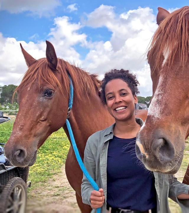 Im Sumpf der Marismeño-Pferde