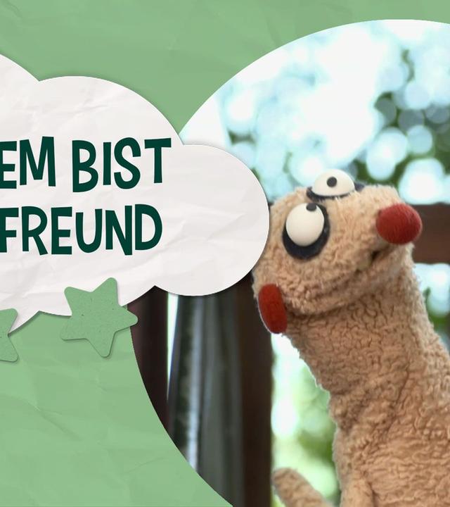 Jan und Henry Lieder: Trotzdem bist du mein Freund - Unser Sandmännchen