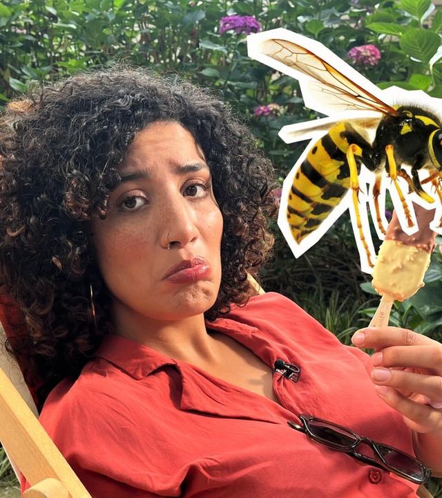 Lästig und gefährlich? - Warum Wespen kein Grund zur Panik sind