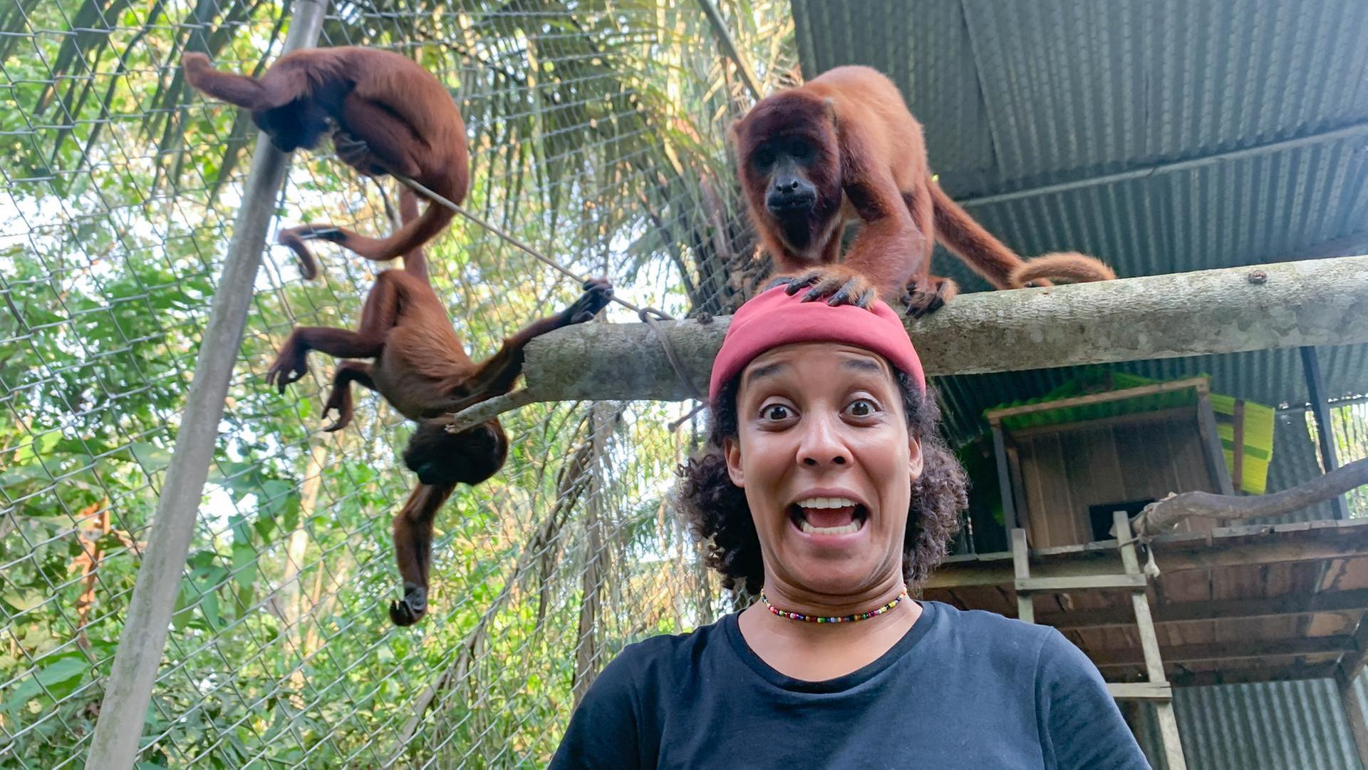 Laut, lauter, Brüllaffe!