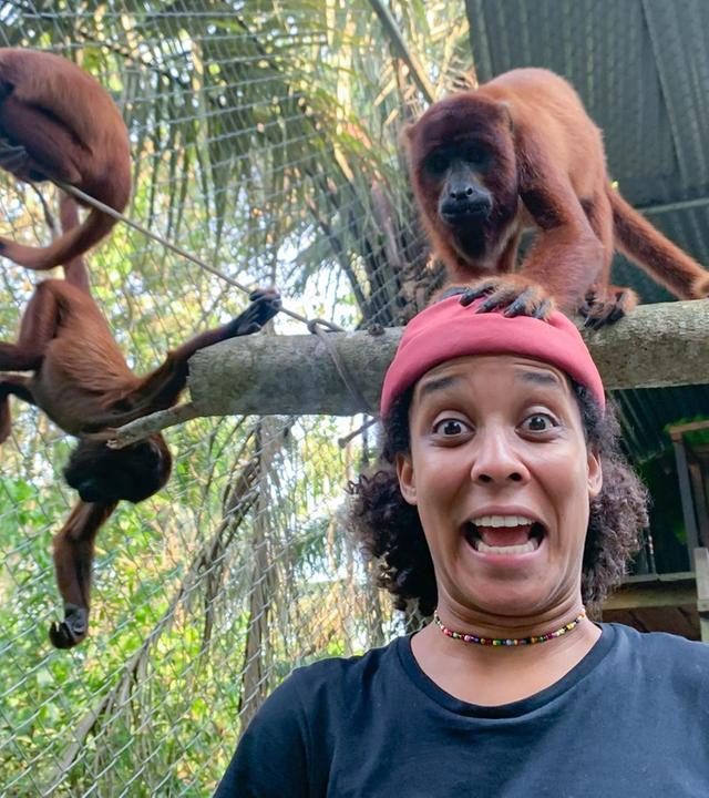 Laut, lauter, Brüllaffe!