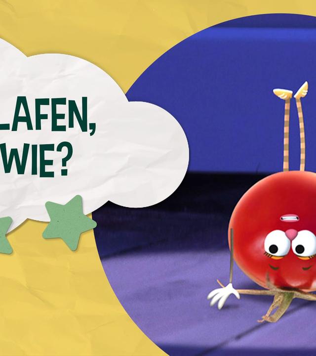 Licht an! Einschlafen. aber wie? - Unser Sandmännchen