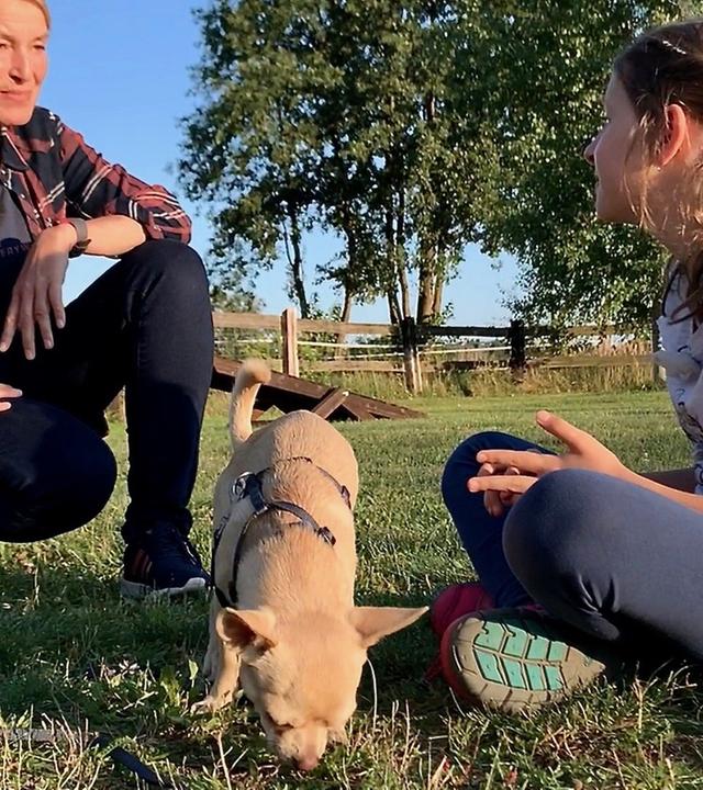 Liebste Fellnasen - Abenteuer Hundeschule