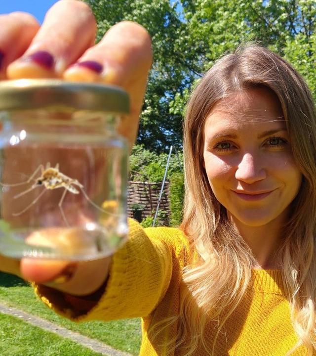 Mücken - Nervig, aber nützlich?