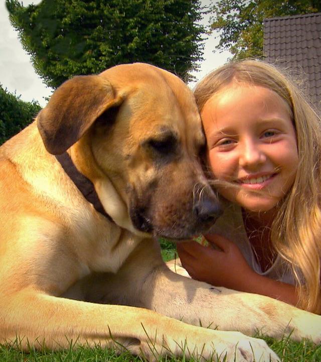 Neue Herausforderungen