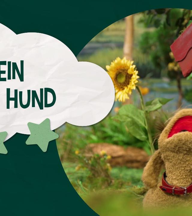 Pittiplatsch: So ein fauler Hund - Unser Sandmännchen