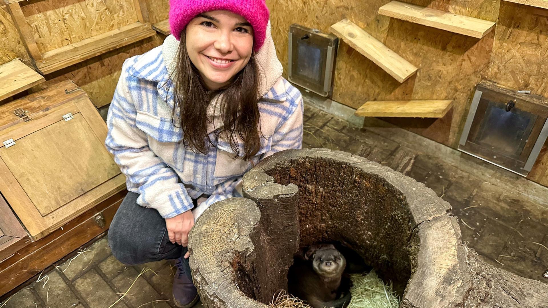 Schwimmkurs für die Fischotter