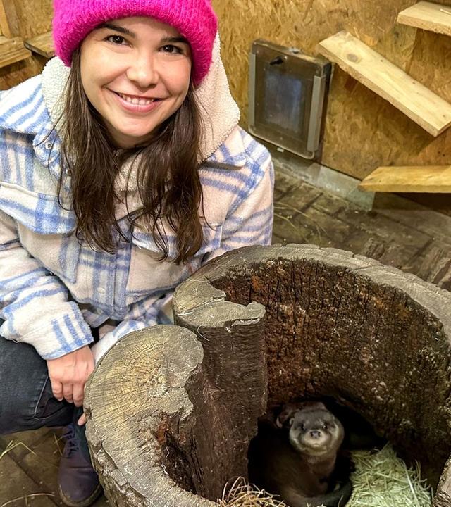 Schwimmkurs für die Fischotter