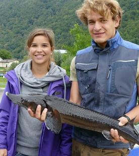 Störfall an der Donau