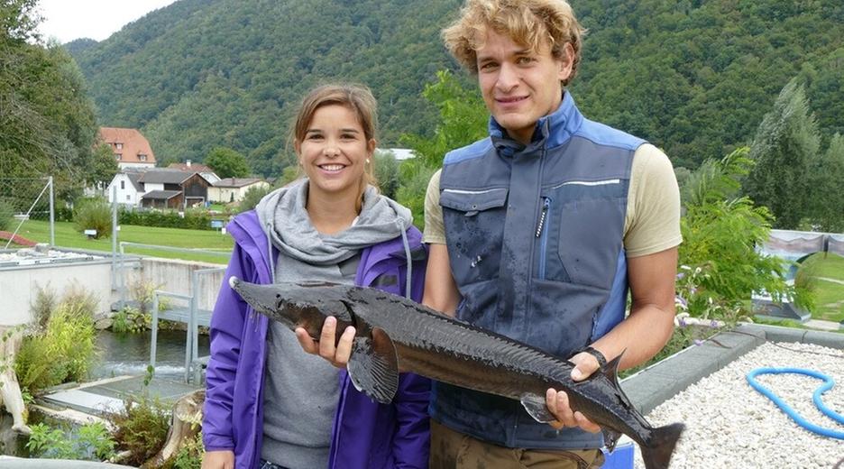 Störfall an der Donau