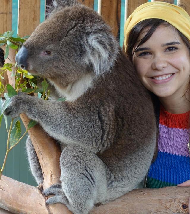 Voll süß, Koala!