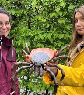 Vorsicht Zecken! - Wie man sich vor den kleinen Blutsaugern schützen kann
