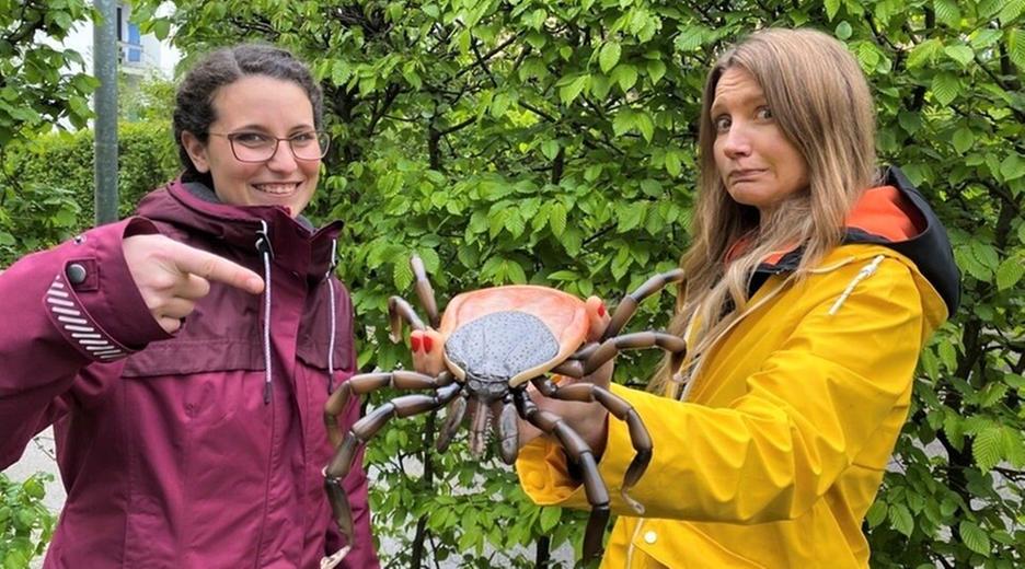 Vorsicht Zecken! - Wie man sich vor den kleinen Blutsaugern schützen kann