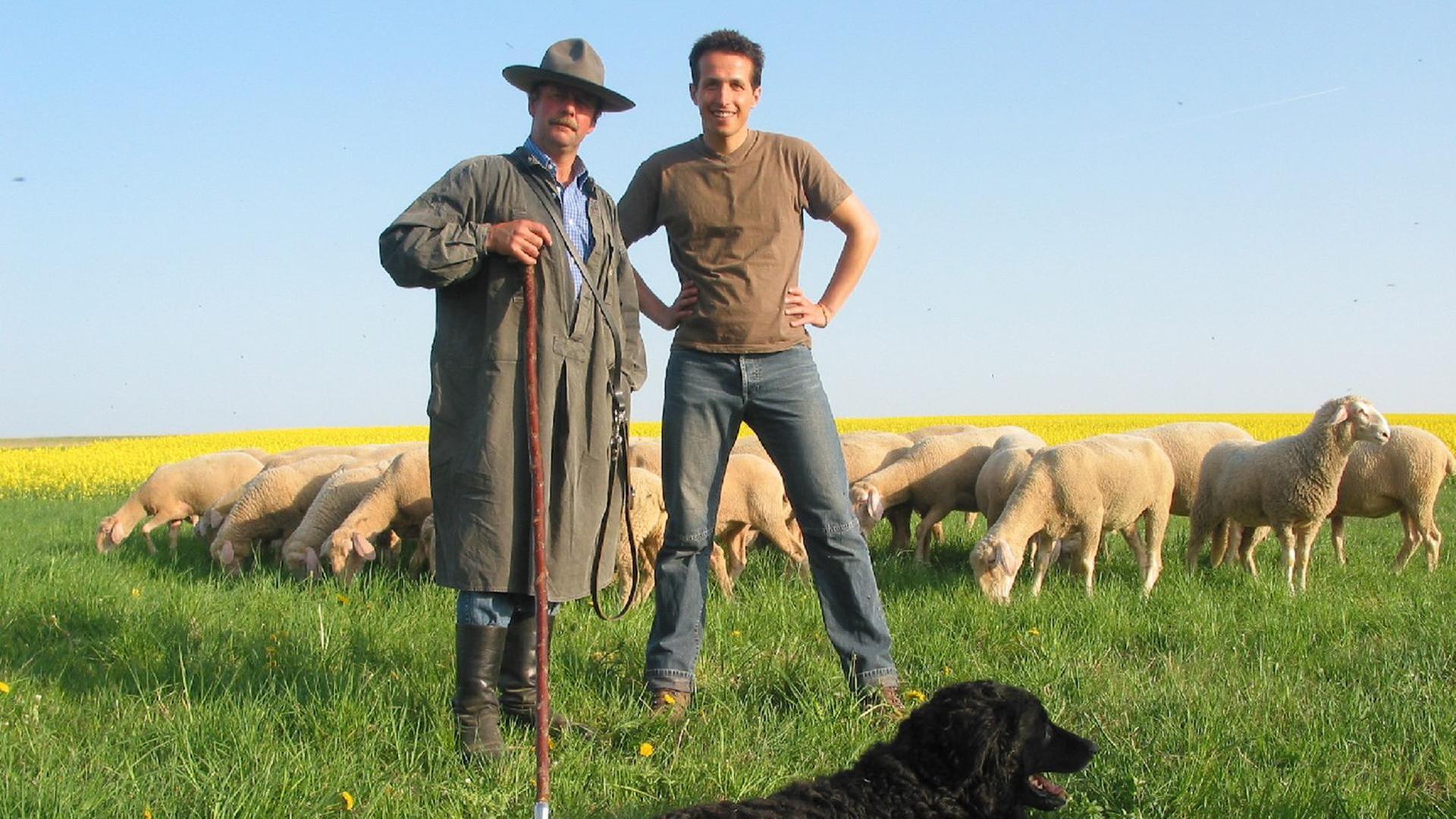 Wer darf auf dem Rasen grasen?