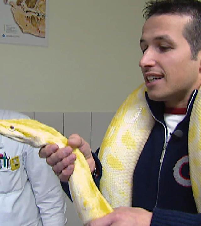 Wer hilft den kranken Tieren?