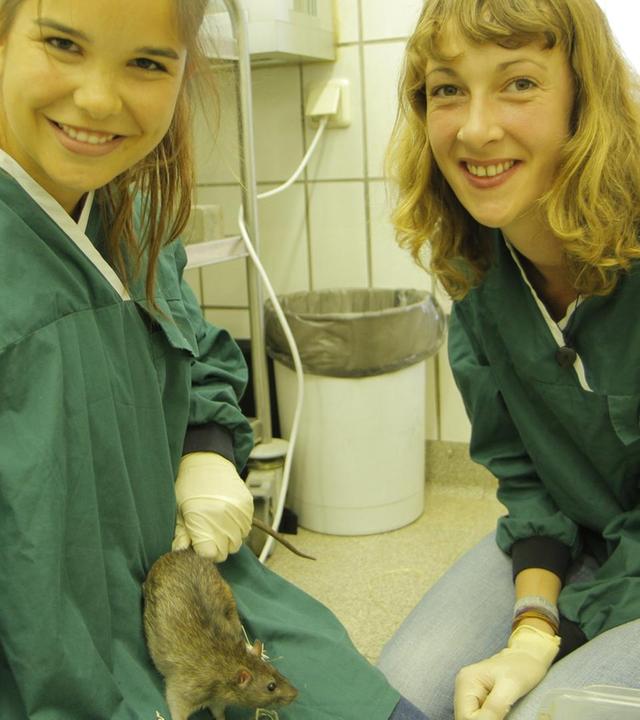 Wer lässt die Maus raus?