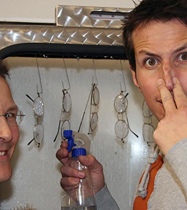 Wer wirft ein Auge aufs Auge?