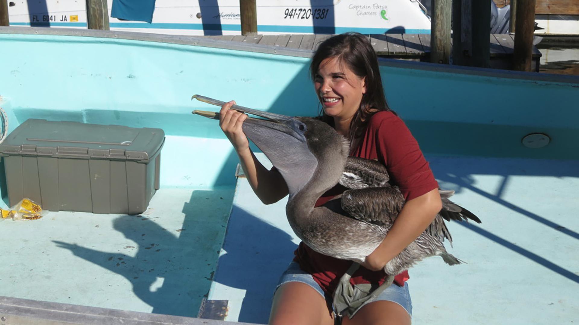 Wie fischt der Pelikan?