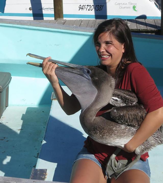 Wie fischt der Pelikan?