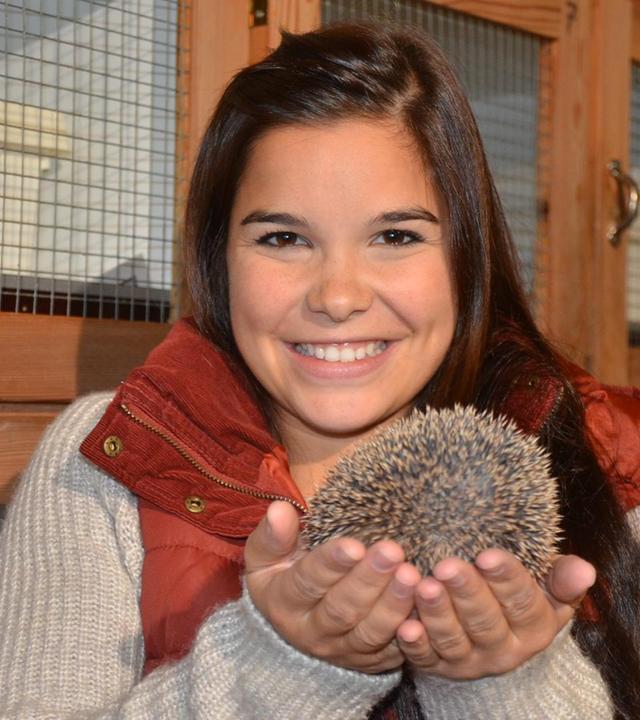 Wie kommt der Igel durch den Winter?