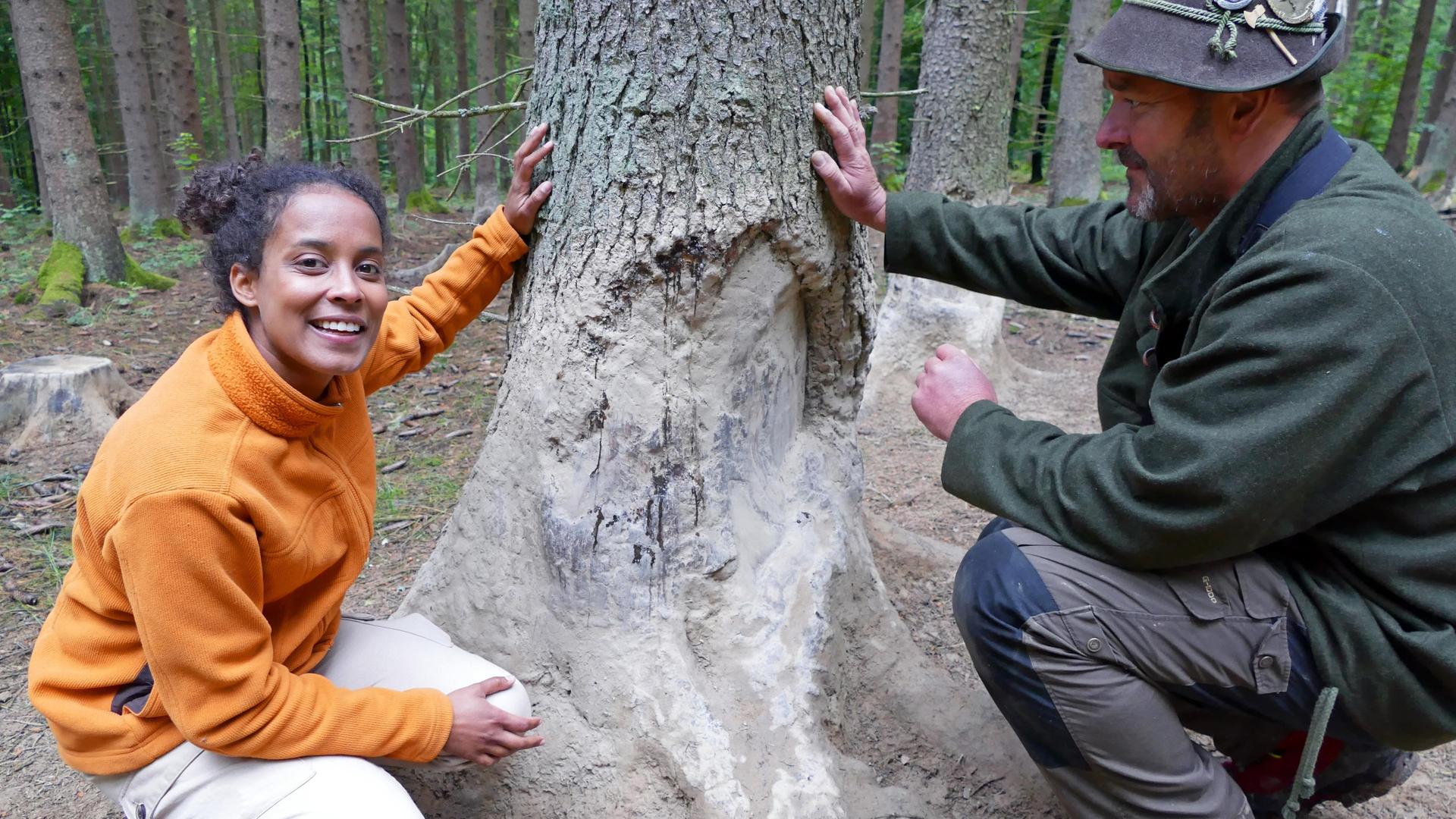 Wie malt das Wildschwein?