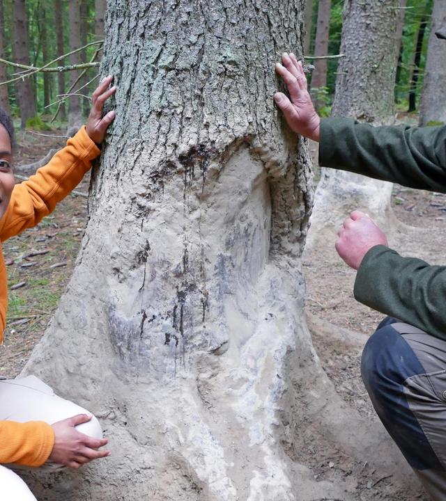 Wie malt das Wildschwein?