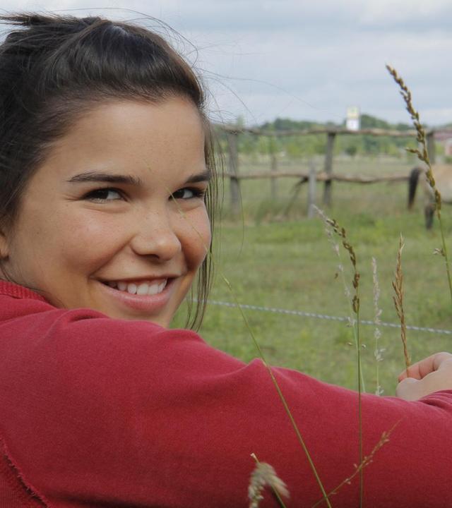 Wie wild ist das Wildpferd?