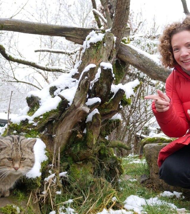 Wildkatzen - Gesa auf den Spuren der unsichtbaren Jäger