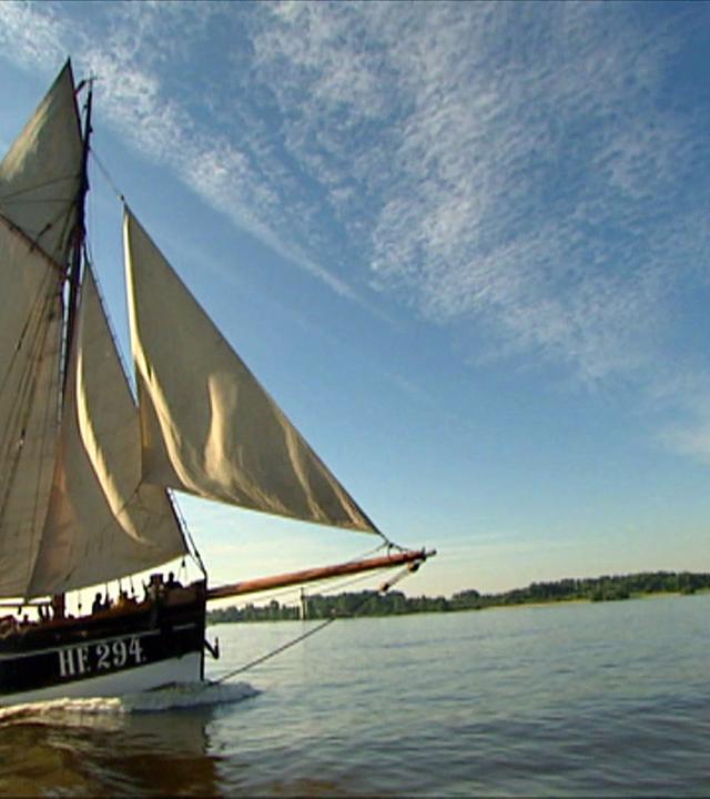 WissQuiz vom 29.4.23