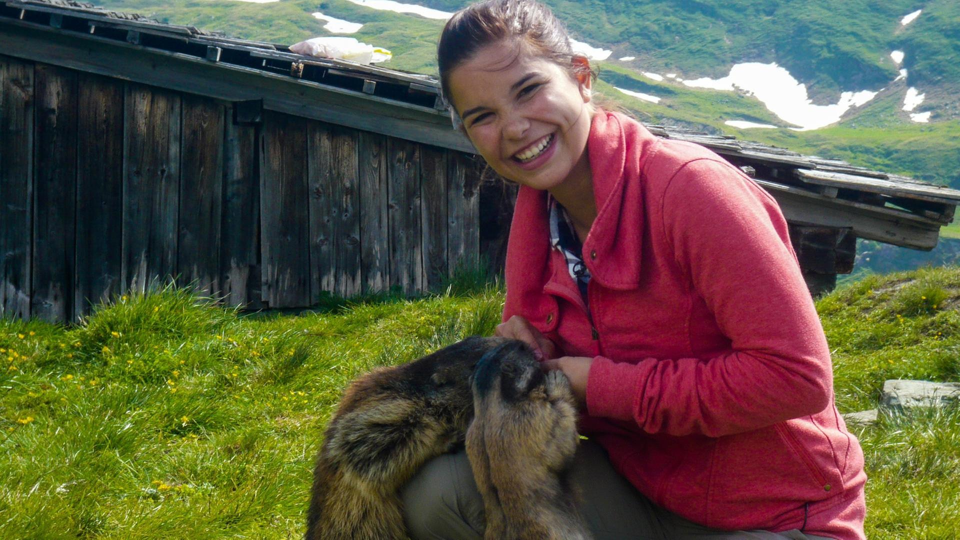 Wo pfeift das Murmeltier?